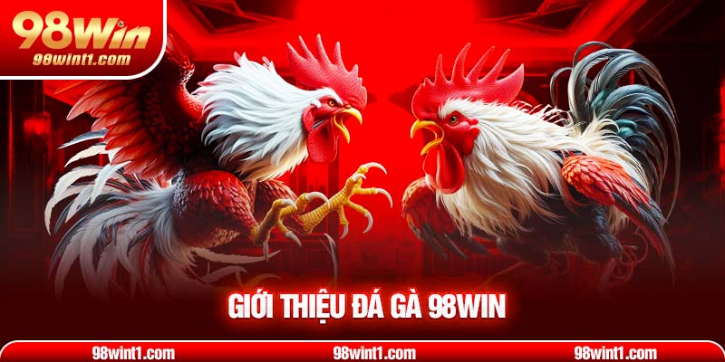 Giới thiệu đá gà 98WIN