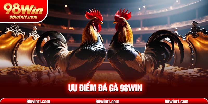 Ưu điểm đá gà 98WIN