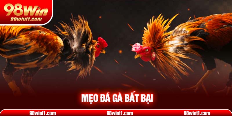 Mẹo đá gà bất bại