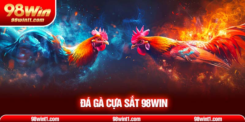 Đá Gà Cựa Sắt – Tìm Hiểu Lịch Sử, Quy Tắc Và Chiến Thuật